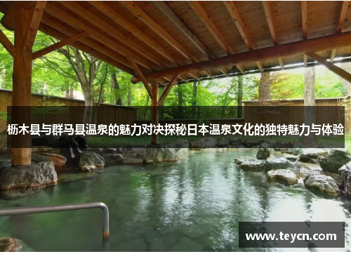 枥木县与群马县温泉的魅力对决探秘日本温泉文化的独特魅力与体验