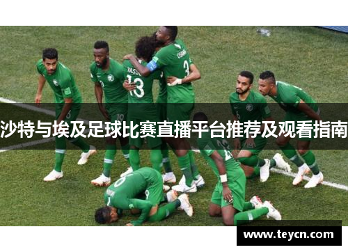 沙特与埃及足球比赛直播平台推荐及观看指南